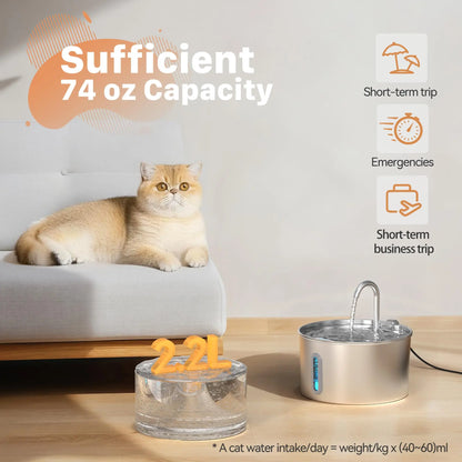 Cat relaxing on a couch next to the 2.2L (74 oz) capacity stainless steel pet water fountain.