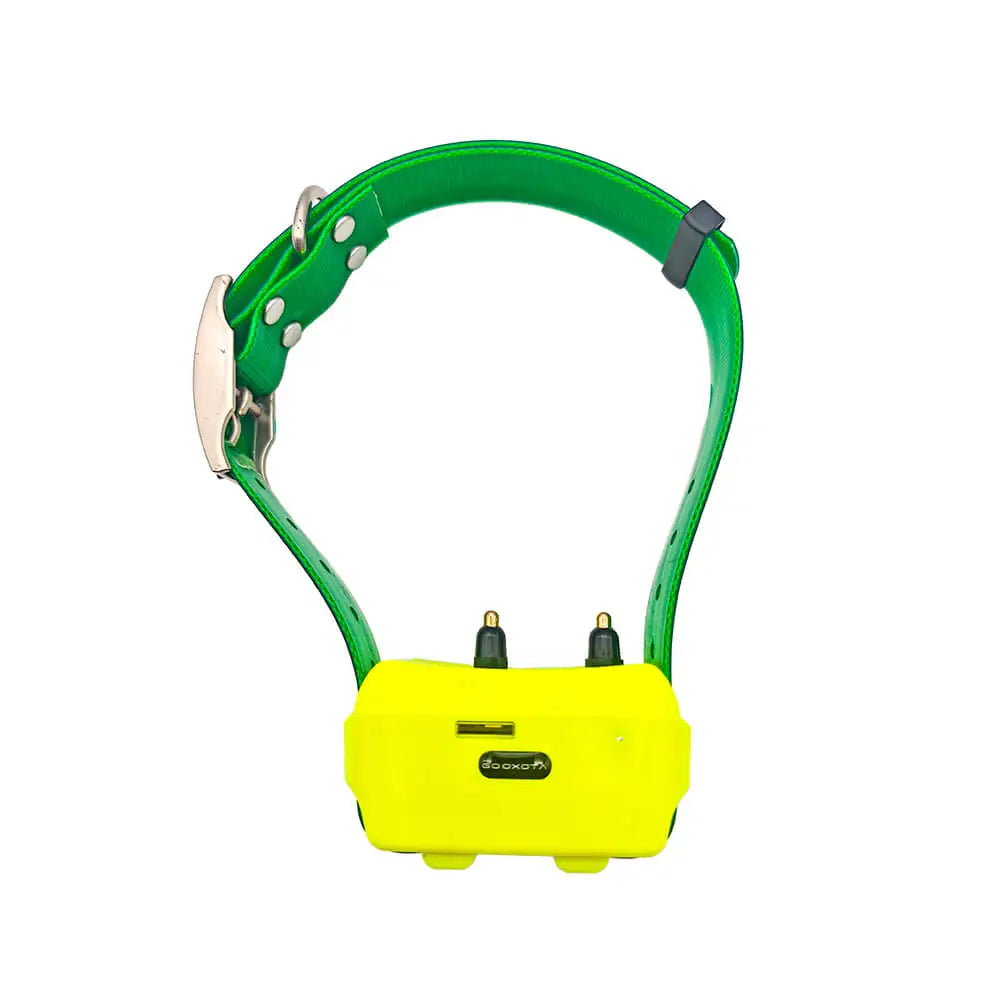 4G Pet Tracker Hound GPS Collar in green, back view showing the GPS tracker unit