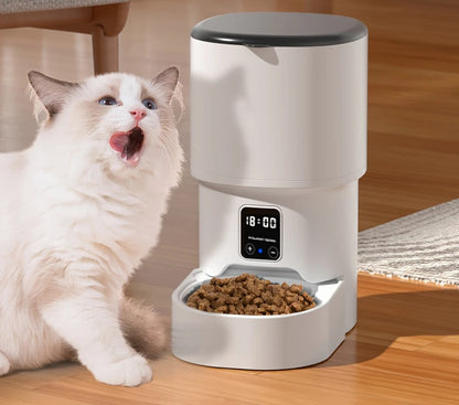 White cat eating kibble from the 4L WiFi automatic pet feeder with digital timer display.
