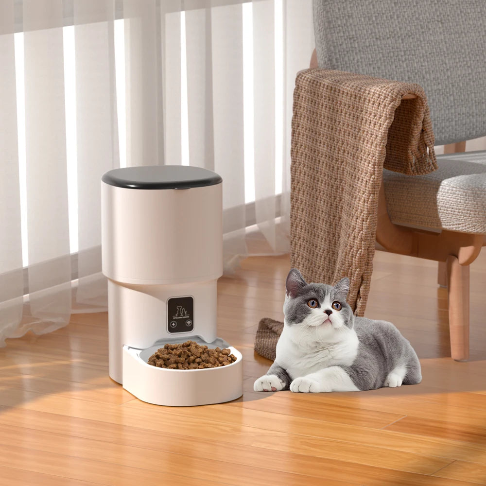 Gray and white cat resting beside a white 4L WiFi automatic cat feeder with food in the bowl.