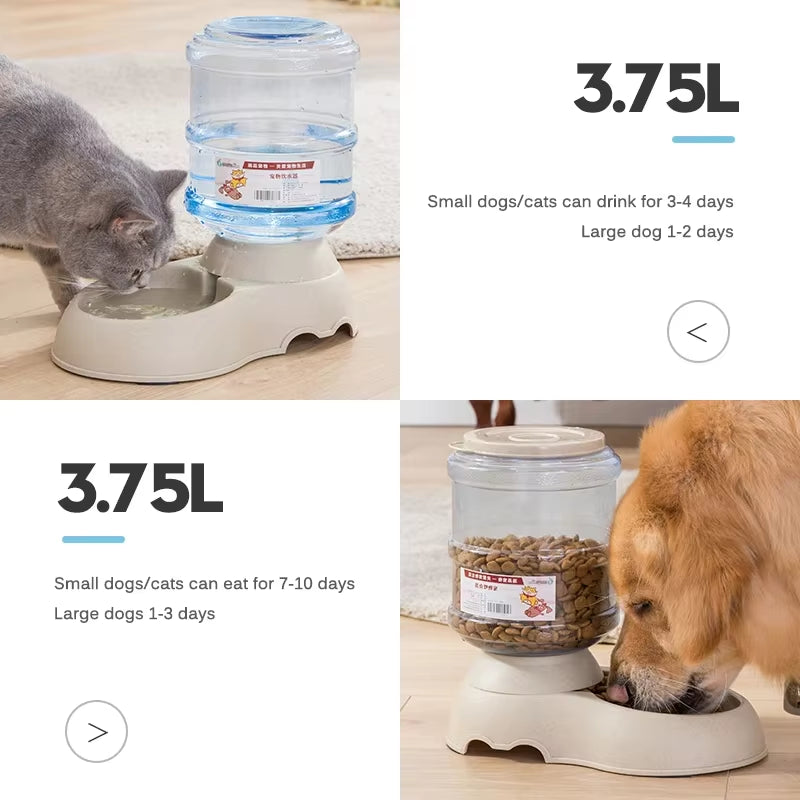 Cat drinking from the gravity water dispenser and dog eating from the gravity pet feeder, 3.75L capacity
