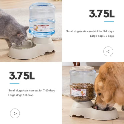 Cat drinking from the gravity water dispenser and dog eating from the gravity pet feeder, 3.75L capacity