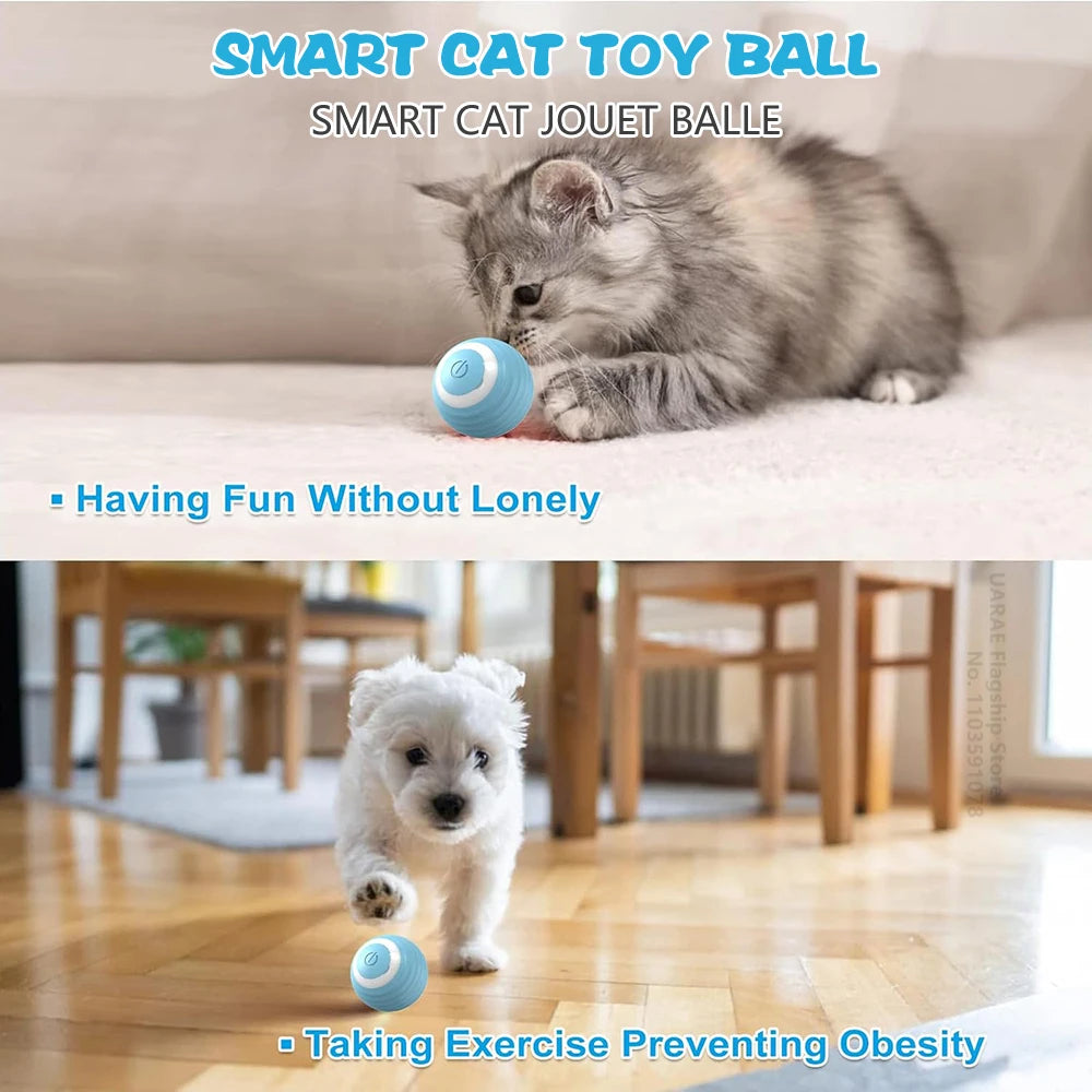Kitten and puppy playing with the Smart Cat Toy Ball electric rolling ball on the floor
