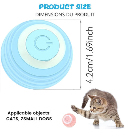 Smart Cat Toy Ball size diagram showing 4.2cm diameter, suitable for cats and small dogs
